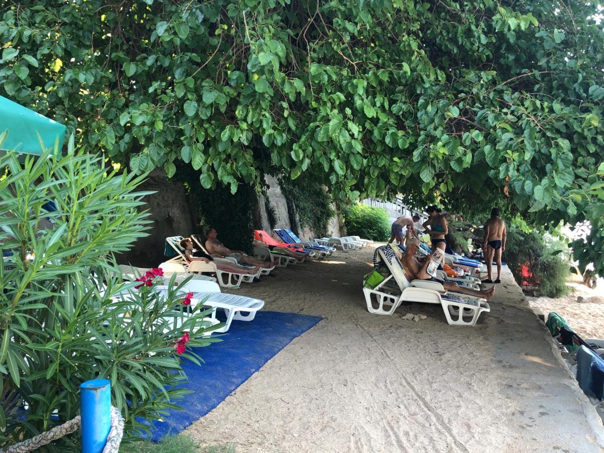 Danyja Apartments Sveti Filip i Jakov Eksteriør bilde